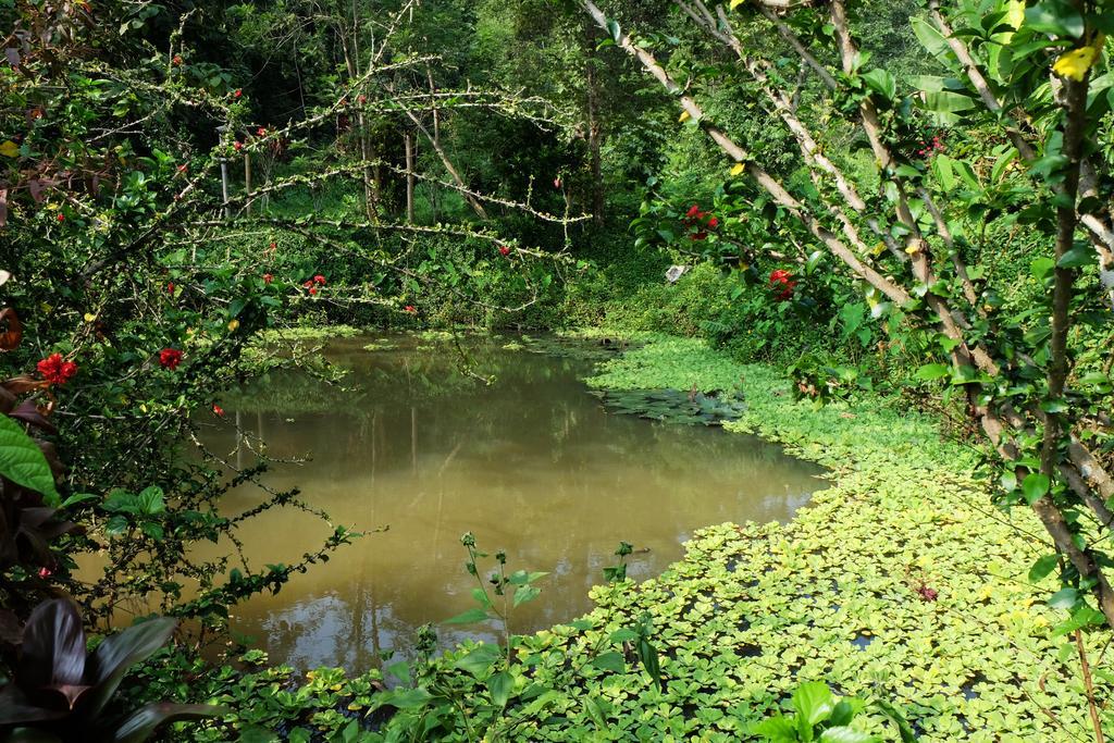Hillside - Nature Lifestyle Lodge Luang Prabang Bagian luar foto
