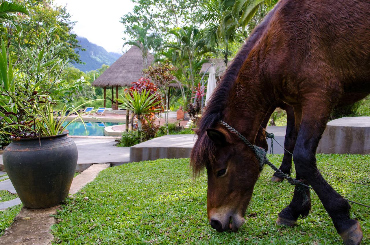 Hillside - Nature Lifestyle Lodge Luang Prabang Bagian luar foto